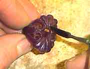 �A�N�Z�T���[�̏o���オ���z������