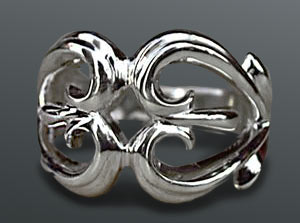 �l�C�e�B�u�n�V���o�[�A�N�Z�T���[