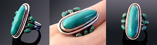 �^�[�R�C�Y�̃V���v���ȃ����O