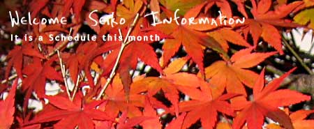 sj_momiji.jpg(23187 byte)