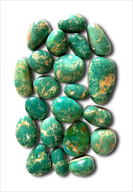 �t�H�b�N�X�^�[�R�C�Y