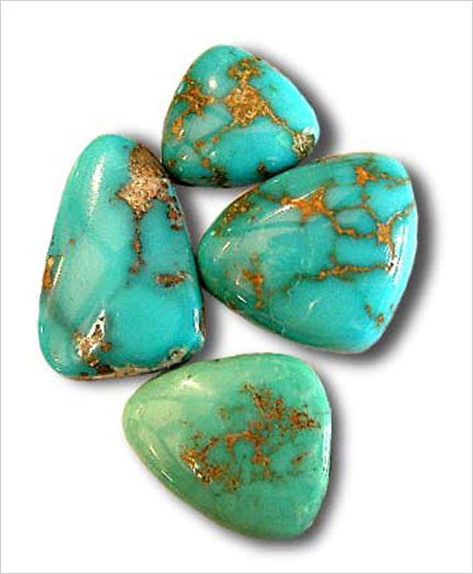 �t�H�b�N�X�^�[�R�C�Y